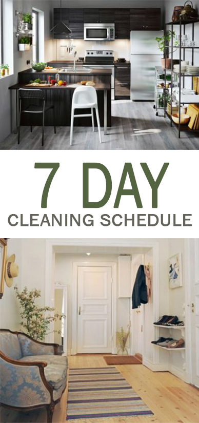 7 Day Cleaning Schedule Page 4 Of 8 101 Days Of Organization