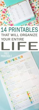 14 Printables That Will Organize Your Entire Life | 101 Days of ...