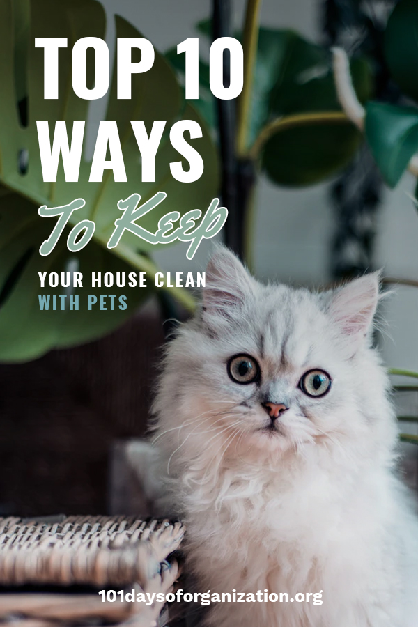 Top 10 Ways to Keep Your House Clean With Pets 101 Days of Organization
