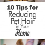 Pet hair, clean home, popular pin, living with pets, pet cleaning tips, reduce pet hair.