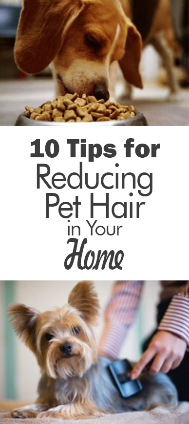Pet hair, clean home, popular pin, living with pets, pet cleaning tips, reduce pet hair.