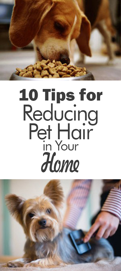 10 Tips for Reducing Pet Hair in Your Home | 101 Days of Organization