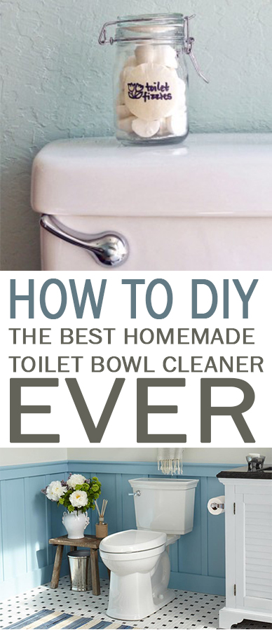 How to DIY the BEST Homemade Toilet Bowl Cleaner Ever
