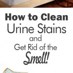Clean home, cleaning tips, cleaning tricks, popular pin, easy cleaning, clean home, clean home ideas.