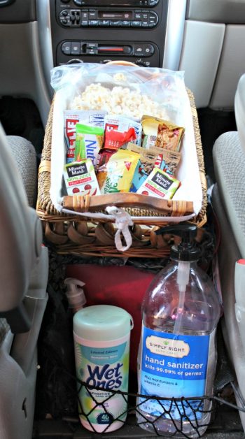 10 Ways to Keep Your Car Organized6