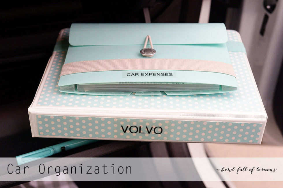 10 Ways to Keep Your Car Organized7