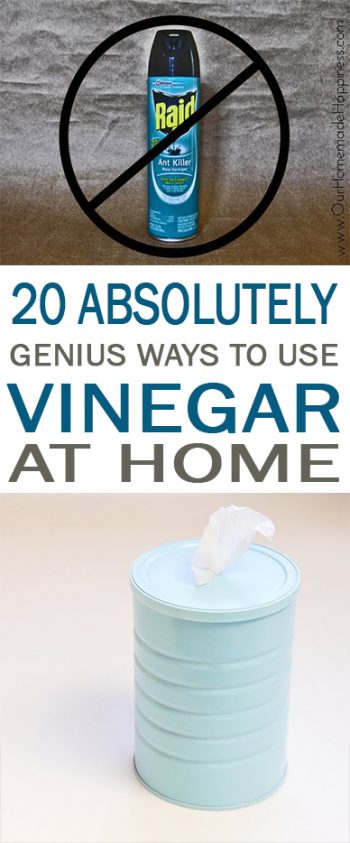 How to Use Vinegar, Vinegar, Things to Do With Vinegar, Uses for Vinegar, Cleaning, Cleaning Tips and Tricks, Cleaning Hacks, Popular Pin, Cleaning Tips, Cleaning With Vinegar, Natural Vinegar Cleaning Tips, Natural Cleaning Tips. 