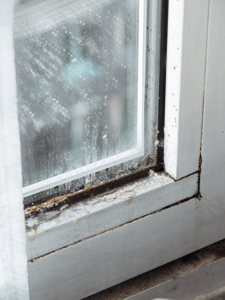 Clean Your Nasty Window Tracks Using One Simple Trick!