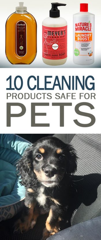  Cleaning Products Safe for Pets, Cleaning Tips and Tricks, Cleaning With Pets, How to Keep Your Home Clean With Pets, Cleaning 101, Clean Home Tips