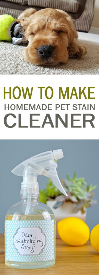 How to Make Homemade Pet Stain Cleaner| Pet Stain Cleaner, DIY Pet Stain Cleaner, DIY Cleaners, Homemade Cleaners, Handmade Cleaners, Clean Your Own Pet Stains, How to Clean Pet Stains Naturally