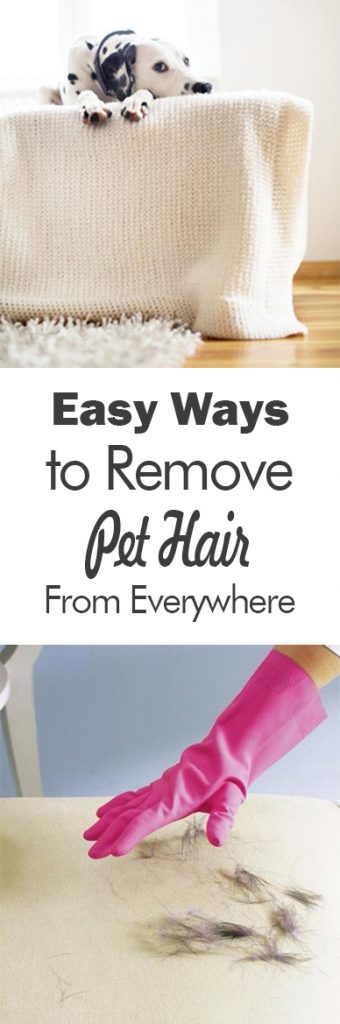 Easy Ways to Remove Pet Hair From Everywhere| Pet Hair Removal, Pet Hair Removal Hacks, Clean Home, Home Cleaning, Home Cleaning Tips, Cleaning Hacks #PetHair #PetHairRemoval #PetHairRemovalTips #Cleaning #CleanHome