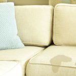 How to Get Grease Stains Out of Your Couch - 101 Days of Organization| Stain Removal, Stain Remover, Stain Remover DIY, DIY Stain Remover, Remove Stains, Cleaning Hacks, Cleaning, Cleaning Tips #StainRemover #StainRemoverDIY #RemoveStains #CleaningHacks #CleaningTips #Cleaning