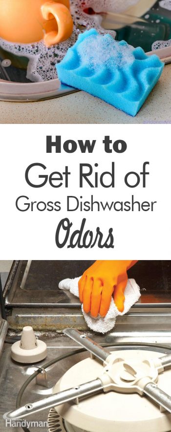 How to Get Rid of Gross Dishwasher Odors - 101 Days of Organization| Cleaning Hacks, Cleaning Tips, Cleaning, Dishwasher, Dishwasher Hacks, Dishwasher Cleaner, Dishwasher Cleaning