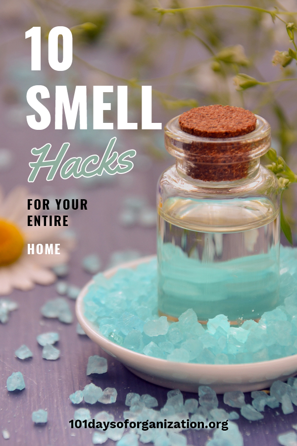 10 Smell Hacks For Your Entire Home | 101 Days Of Organization