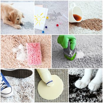 Homemade Carpet Cleaner: Say Goodbye to Store-Bought Brands! | DIY Carpet Cleaner | Make Your Own Carpet Cleaner