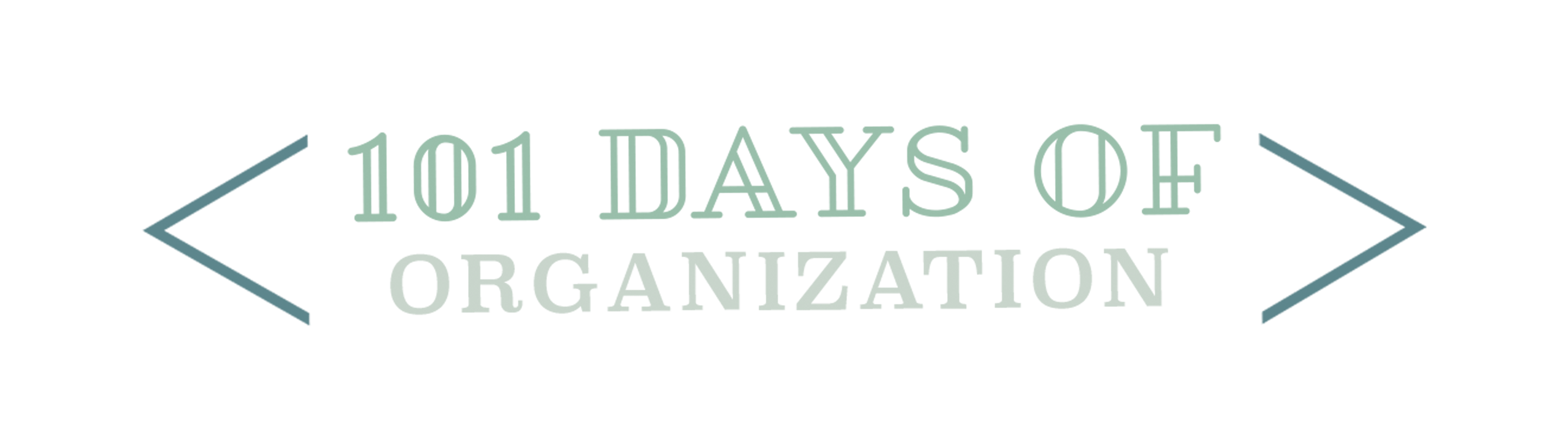 101 Days Of Organization logo