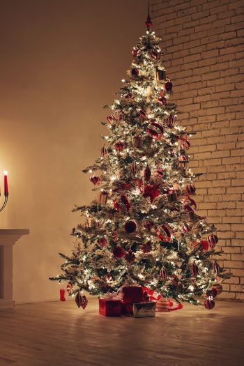 Is there anything better than a beautiful flocked Christmas tree? I don't think so! Here's how to flock a Christmas tree at home. 