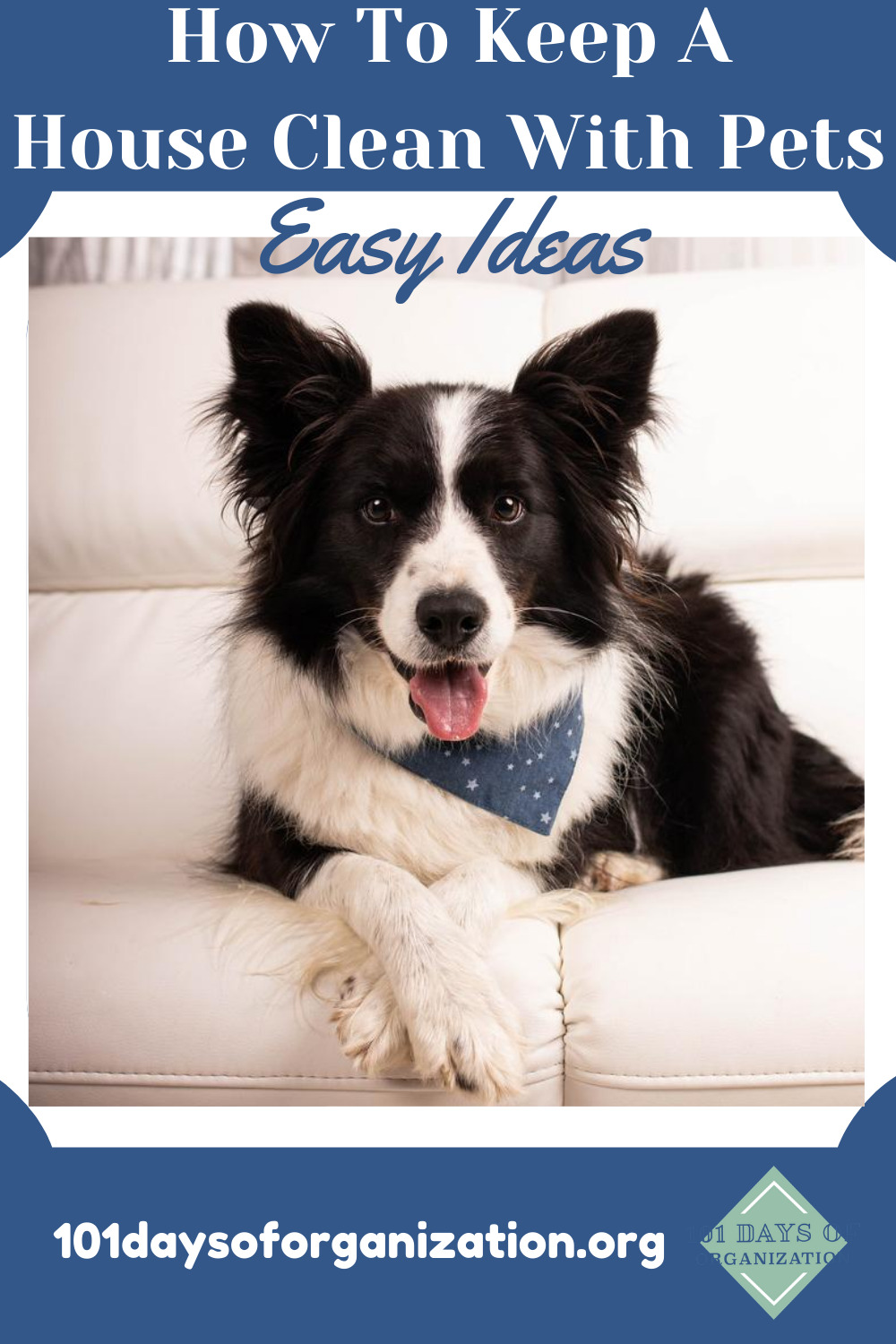 How to keep a house clean with pets! If you have pets, you know that they are notorious for messes that you have to clean up. Stay ahead of the game with these helpful tips and tricks to keep the house clean in spite of your pets! #101daysoforganizationblog #howtokeepahousecleanwithpets